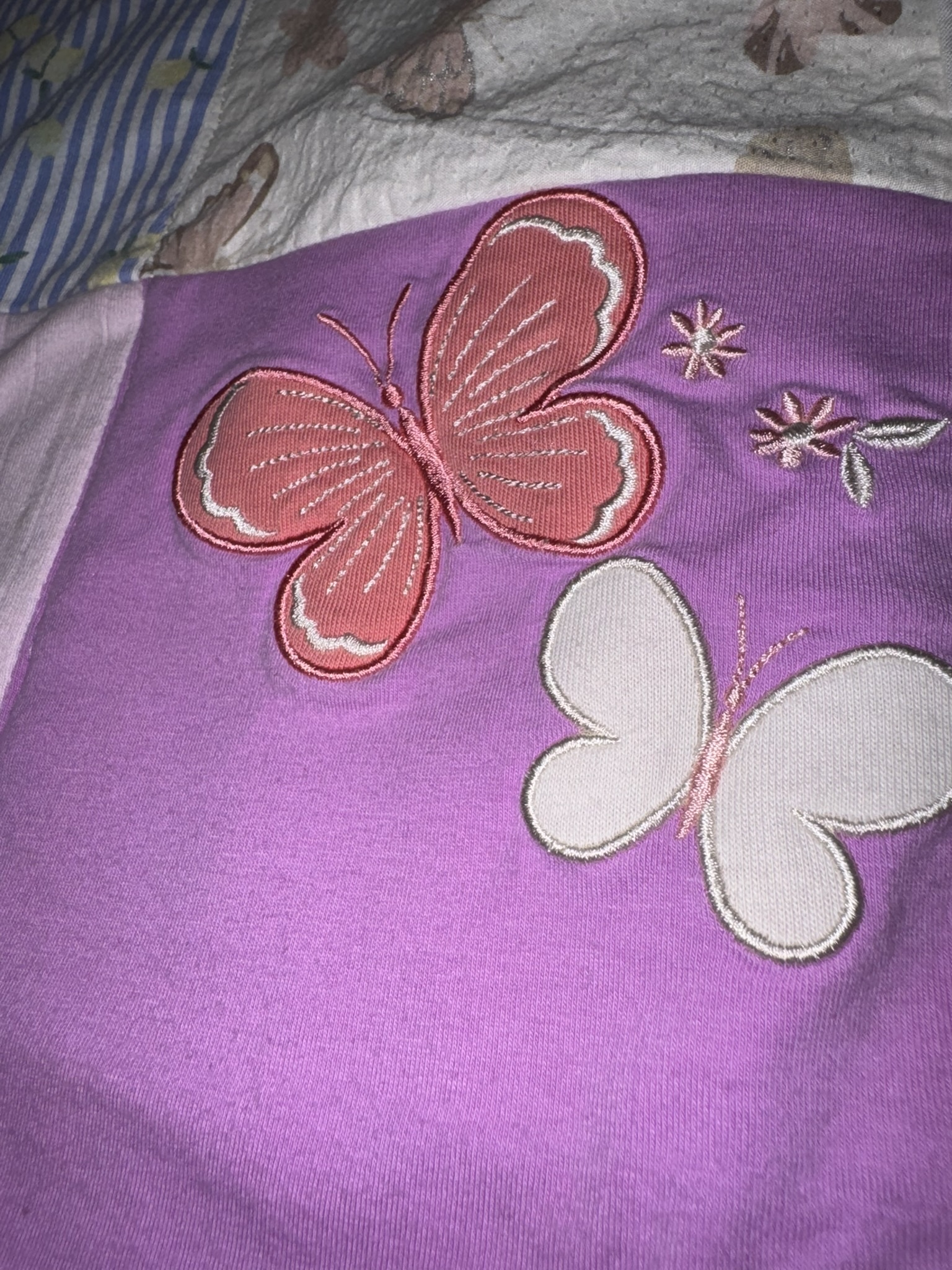 Butterfly from a treasured outfit preserved in the blanket
